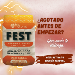 FEST