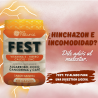 FEST